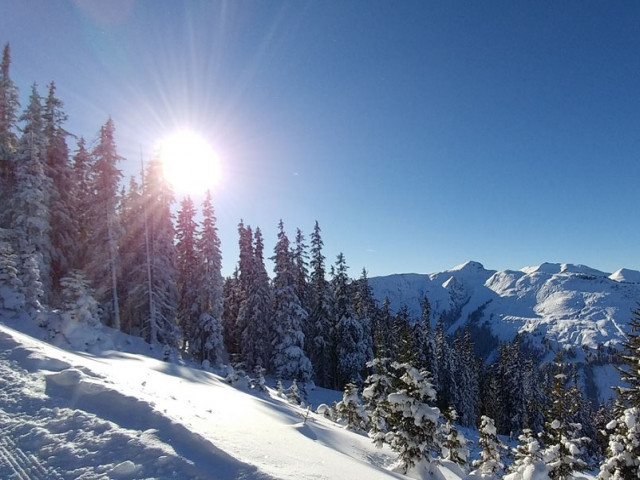 Sporthotel Kitz - am Fuße des Großglockners