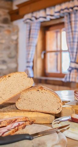 Selbstversorgerhütte Almhütte Radlehenhütte