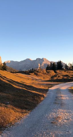Ferienwohnungen Urlaub mit Hunde