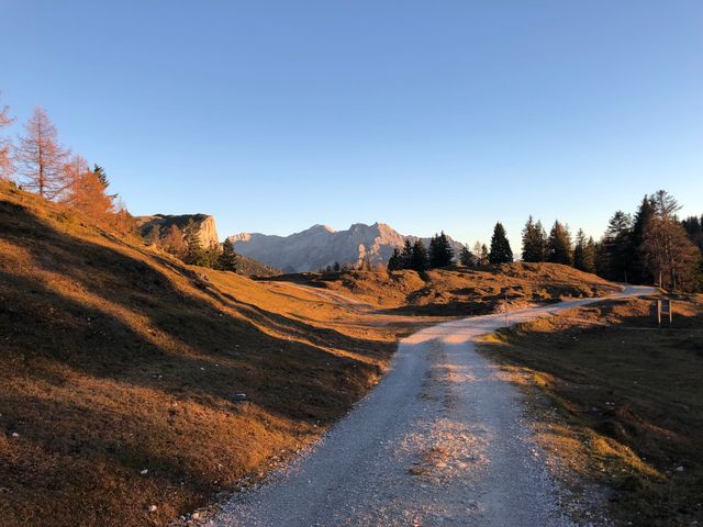 Ferienwohnungen Urlaub mit Hunde