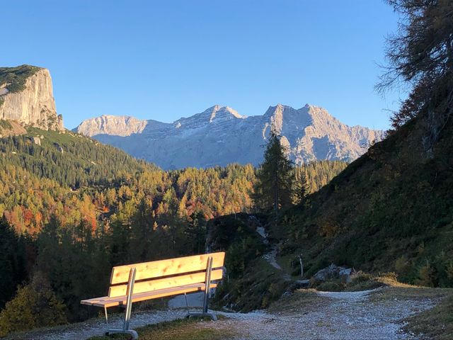 Ferienwohnungen Urlaub mit Hunde