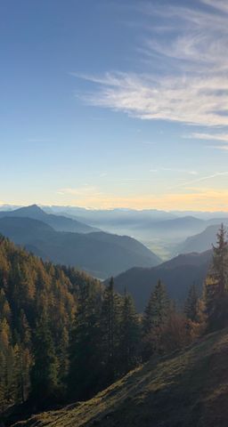 Ferienwohnungen Urlaub mit Hunde