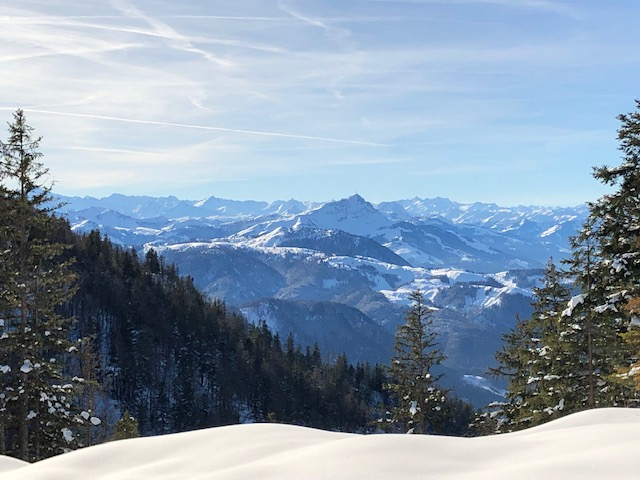 Ferienwohnungen Urlaub mit Hunde
